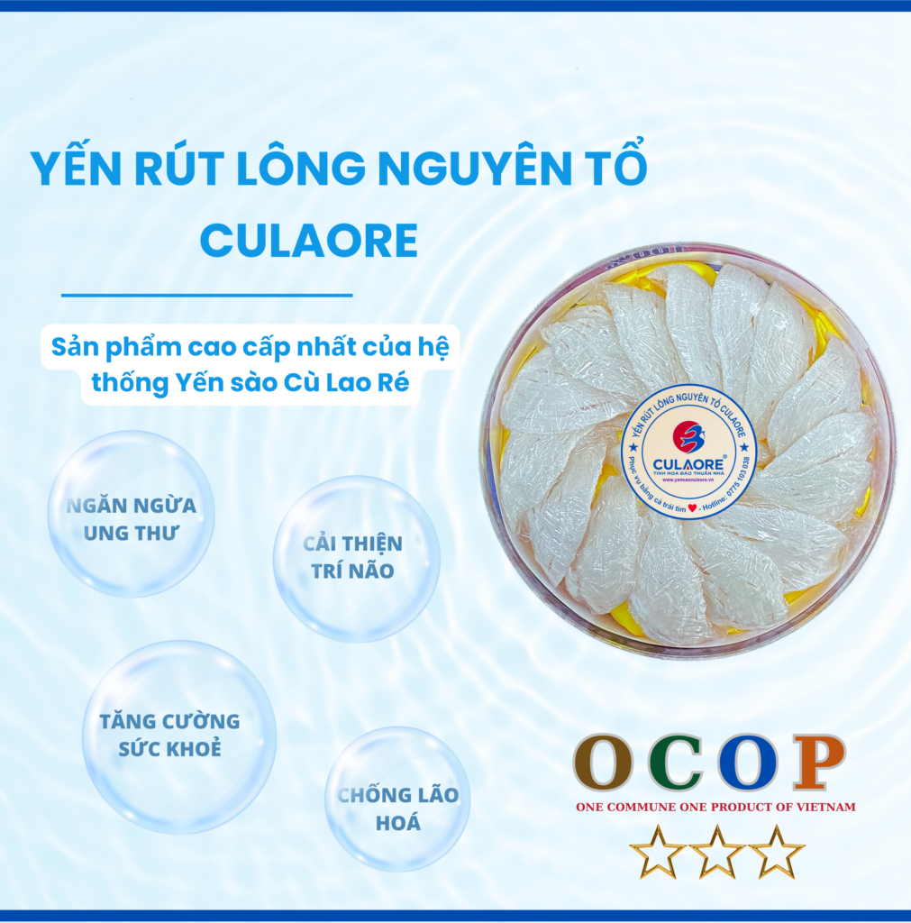 Yến sào rút lông nguyên tổ Cù Lao Ré